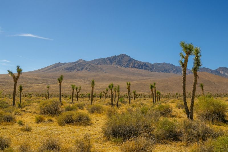 Best Bathtub Installation pros in Joshua, TX