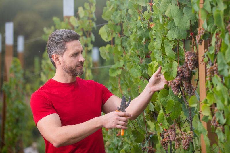 Best Bathtub Installation pros in Grapevine, TX